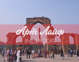 Видеоролик о Фестивале-2019 в Дели